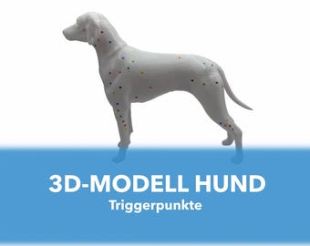 3D printed trigger point dog – decorative figure – educational model – hand-painted