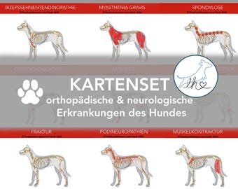 May include: A gray and red educational chart with illustrations of dog skeletons highlighting various orthopedic and neurological conditions. The text includes "KARTENSET" and "orthopädische & neurologische Erkrankungen des Hundes".