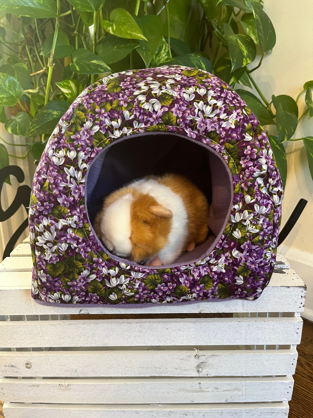 Guinea Pig Nest Fleece Hidey Guinea Pig Hidey Hidey House Etsy