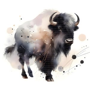 May include: Watercolor illustration of a bison in shades of black, gray, and brown. The bison has curved horns and a shaggy coat. Splatter and line art accents the background.