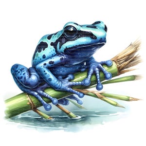 Puede incluir: Ilustración detallada de una rana dardo venenosa azul con marcas negras, posada en un tallo de bambú verde. La rana está en un entorno acuático, con el bambú y el agua representados de forma realista.