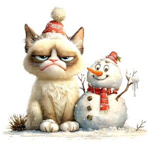 10 Grumpy Christmas Cat Clipart JPGs, digital download, commercial use, high-quality JPGs, paper model, junk journals, funny cartoons