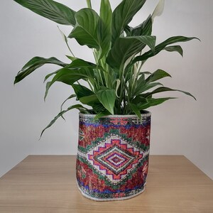 Può includere: Una pianta di Spatifillo in un vaso colorato con un motivo. Il vaso ha un design geometrico con colori rosso, verde, blu e bianco.