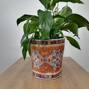 May include: A green plant with white flowers in a cylindrical orange and white patterned planter. The planter has a geometric design with a floral border.