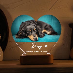 Cat Dog Loss Gift, Pet Memorial Night Light, Custom Pet Photo Gifts, Custom Pet Plaque, Pet Night Light, Pet Memorial Frame, Gifts for Pets