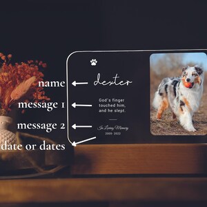 May include: A memorial plaque featuring a dog photo, name "dexter", and the text "God's finger touched him, and he slept", with dates 2005-2022. The plaque is illuminated with a warm light. The plaque is a thoughtful keepsake.