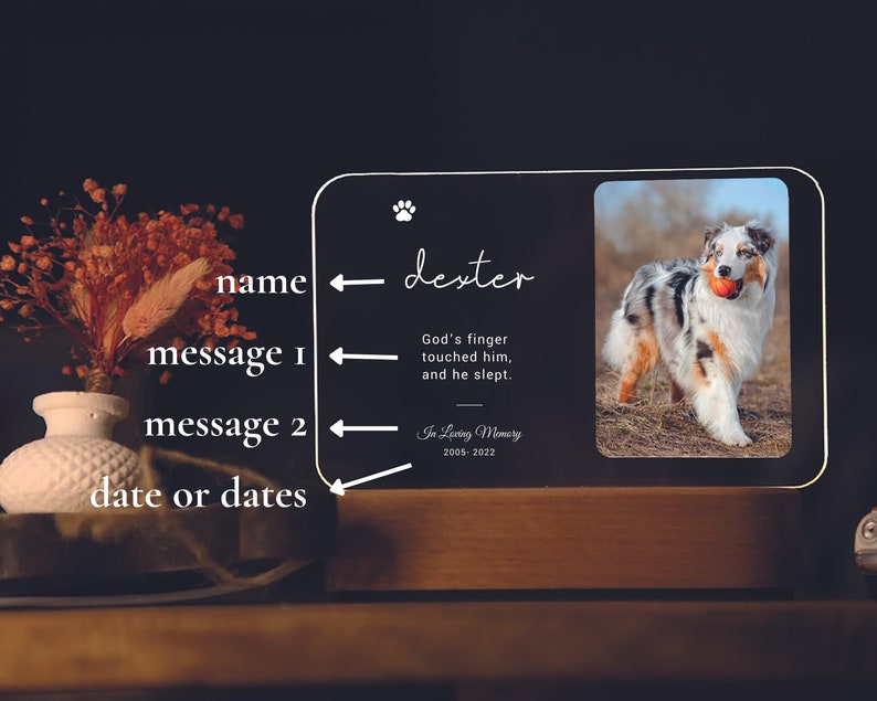 May include: A memorial plaque featuring a dog photo, name "dexter", and the text "God's finger touched him, and he slept", with dates 2005-2022. The plaque is illuminated with a warm light. The plaque is a thoughtful keepsake.