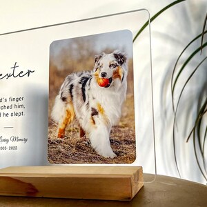 May include: A clear acrylic photo frame with a wooden base. The frame features a photo of a dog holding a ball, with the name "Dexter" and an inscription. The frame is a memorial item, with the years 2005-2022.