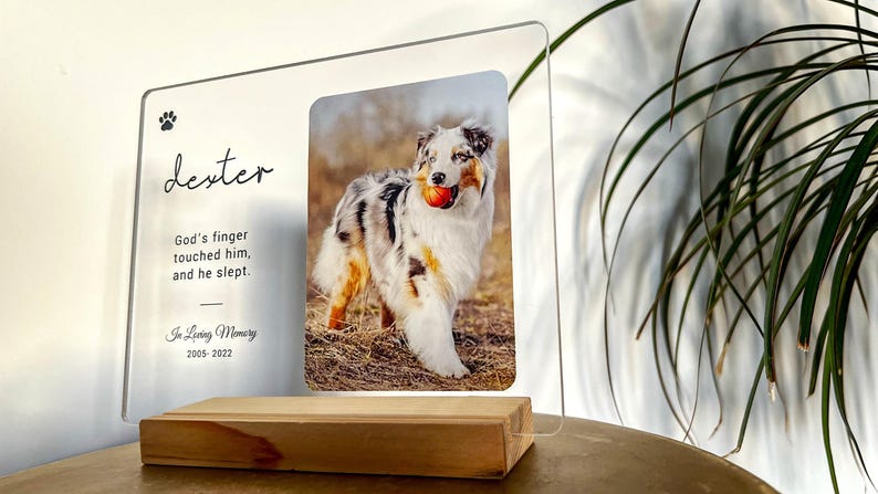 May include: A clear acrylic photo frame with a wooden base. The frame features a photo of a dog holding a ball, with the name "Dexter" and an inscription. The frame is a memorial item, with the years 2005-2022.