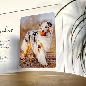 May include: A clear acrylic photo frame featuring a dog with a ball in its mouth. The frame has the dog's name, a paw print, and the text "God's finger touched him, and he slept. In Loving Memory 2005-2022."