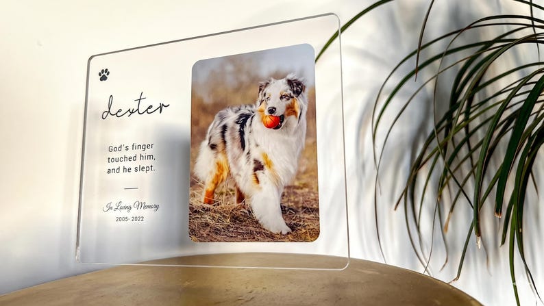 May include: A clear acrylic photo frame featuring a dog with a ball in its mouth. The frame has the dog's name, a paw print, and the text "God's finger touched him, and he slept. In Loving Memory 2005-2022."