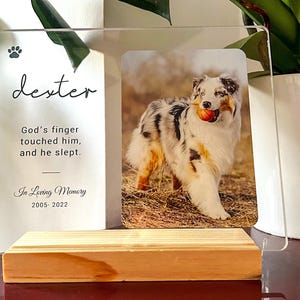 May include: A clear acrylic photo frame featuring a dog image and text. The frame includes the name "Dexter", a paw print, and the text "God's finger touched him, and he slept. In Loving Memory 2005-2022."