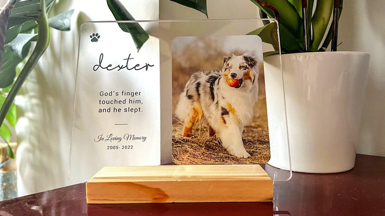 May include: A clear acrylic photo frame featuring a dog image and text. The frame includes the name "Dexter", a paw print, and the text "God's finger touched him, and he slept. In Loving Memory 2005-2022."