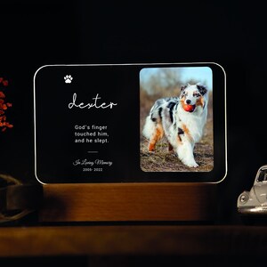 May include: A memorial night light with a photo of a dog, the name "dexter", and the inscription "God's finger touched him, and he slept." The light is set on a wooden base. The years 2005-2022 are also inscribed.