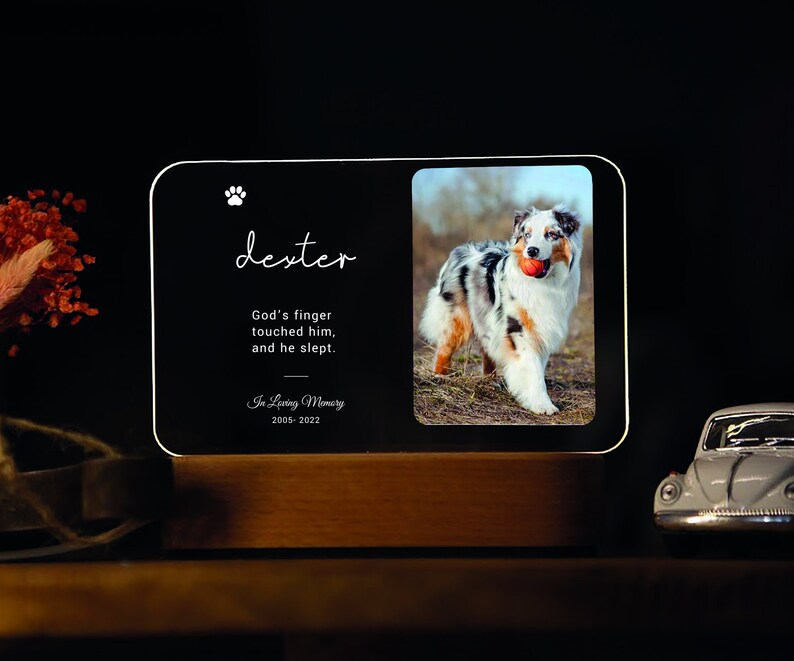 May include: A memorial night light with a photo of a dog, the name "dexter", and the inscription "God's finger touched him, and he slept." The light is set on a wooden base. The years 2005-2022 are also inscribed.