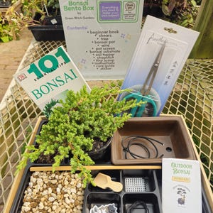 May include: A DIY bonsai kit in a black tray containing a small juniper tree, a brown ceramic pot, bonsai shears, wire, substrate, a wooden scoop, a pot screen, a sticker, and two instructional booklets titled 101 Essential Tips Bonsai and Outdoor Bonsai.