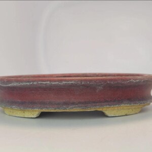 May include: A shallow, oval-shaped ceramic bonsai pot featuring a matte, dusty rose-colored glaze on the exterior walls and a contrasting, unglazed light beige base with small feet. The rim is slightly flared with a textured, weathered finish.