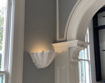 Plaster Shell Sconce