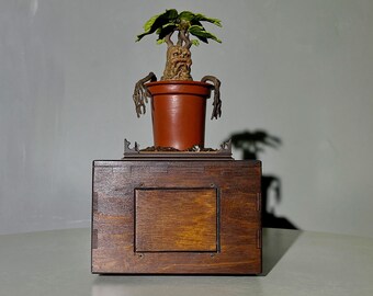 Flower pot puzzle with built-in box