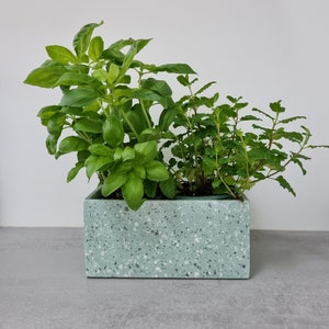 Può includere: Un vaso in terrazzo verde con due tipi di piante verdi che crescono al suo interno. Il vaso è rettangolare e ha una superficie macchiata.