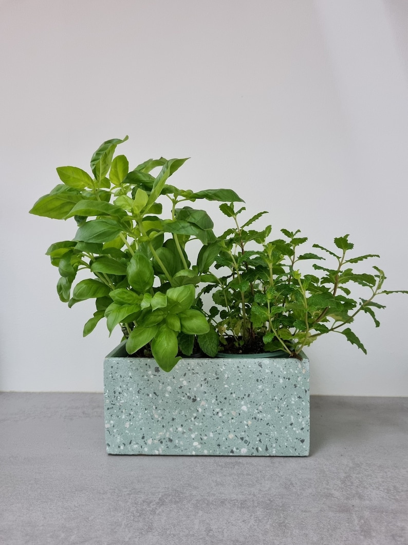 May include: A green terrazzo planter with two types of green plants growing inside. The planter is rectangular and has a speckled surface.
