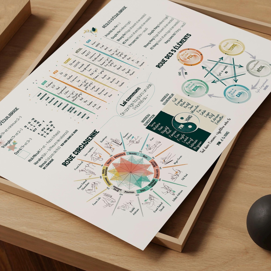 Kinesiology Wall Art Print in French, Five Elements Poster, Chinese ...