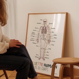 Human Skeleton Poster in French, Human Body Bones, Medical Wall Decor, Downloadable Print for Office, Classroom