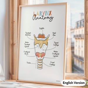 Downloadable Larynx Anatomy Poster, SLP Office Decor, Speech Therapist Gift, ENT, Doctor Gift, Medical Art, Ikinotesdebea