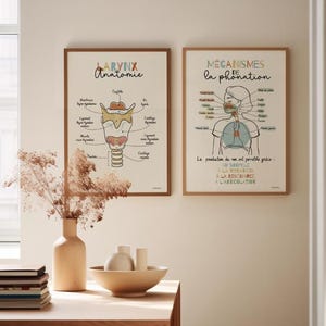 Décor Bureau orthophonie ORL, Affiche anatomie Larynx Mécanisme Phonation, Art Médical Français, Cadeau pour Orthophoniste, Kinésithérapeute