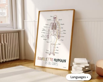 Medical wall print (French or English), Human skeleton poster, Anatomy art, Office decor, Physical therapist, Chiropractor