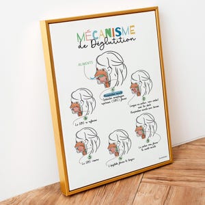 Schluckmechanismus, Logopädie Poster auf Französisch, HNO Büro Dekor, Medizinische Anatomie Kunst, Logopäden Geschenk, Physiotherapeut