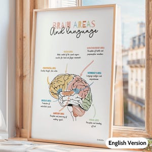 Brain anatomy, Speech therapy poster, Speech language Pathologist gift, School counselor office decor, Psychiatrist wall art, ikinotesdebea
