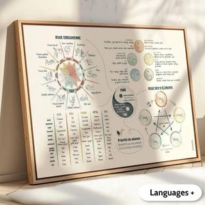Può includere: Una stampa artistica da parete rettangolare incorniciata con un dettagliato grafico educativo intitolato Roue Circadienne. L'immagine include un diagramma circolare, una tabella degli elementi e simboli yin-yang con testo in francese che spiega concetti di medicina cinese.