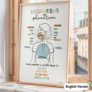May include: A framed poster illustrating the mechanisms of phonation, with labels for the nasal cavity, tongue, and lungs. The poster's title is in colorful text. The text at the bottom lists factors for sound production: breath, vibration, resonance, and articulation.