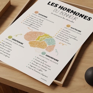 Französisches Glückshormon-Wandbild, Therapie-Büro-Dekor, Poster zur psychischen Gesundheit, Geschenk für Psychologen, Ikinotesdebéa