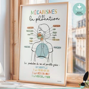 Affiche orthophonie Mécanismes de Phonation, Art médical en français, Anatomie, Décor mural Conseiller scolaire, kinésithérapeute