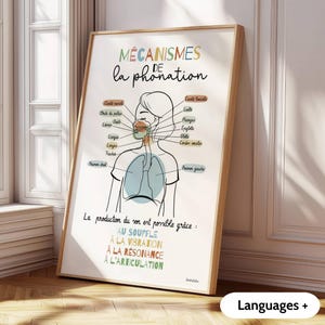 Può includere: Un poster educativo incorniciato intitolato Mécanismes de la phonation che presenta un disegno al tratto del sistema respiratorio e vocale umano con etichette in francese, inclusi polmoni, trachea e corde vocali, con testo colorato.