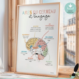 Anatomie du cerveau en français, Poster d'orthophonie, Cadeau pour orthophoniste, Décor bureau Conseiller scolaire, Art mural Psychologue