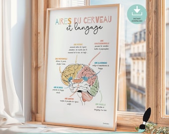 Brain anatomy in French, Speech therapy poster, Speech language Pathologist gift, School counselor office decor, Psychiatrist wall art