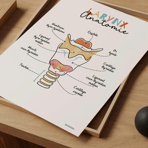 Wanddruck Anatomie des Kehlkopfes auf Französisch, SLP-Bürodekoration, Logopäden-Geschenk, HNO-Poster, medizinische Kunst