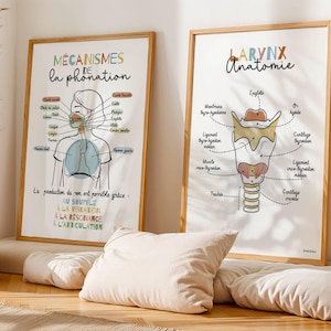 Dekoration für Logopädie-/HNO-Praxis, Poster zur Kehlkopfanatomie: Stimmmechanismus, französische medizinische Kunst, Geschenk für Logopäden und Physiotherapeuten
