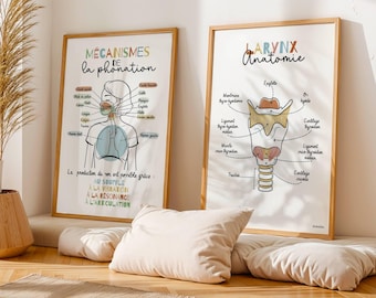 Office Decor Speech Therapy ENT, Anatomy Larynx Poster Phonation Mechanism, Medical Art, Speech Therapist Gift , Physical Therapist
