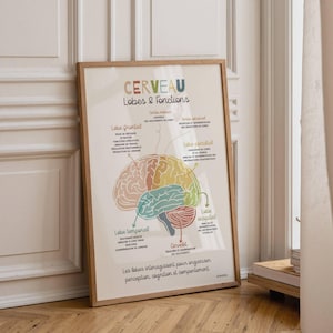 Può includere: Un poster incorniciato, intitolato "CERVEAU Lobes & Fonctions" in francese. Il poster presenta un'illustrazione colorata del cervello, evidenziando i diversi lobi con etichette. La cornice è in legno chiaro.