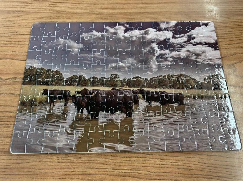 Custom Jigsaw Puzzle