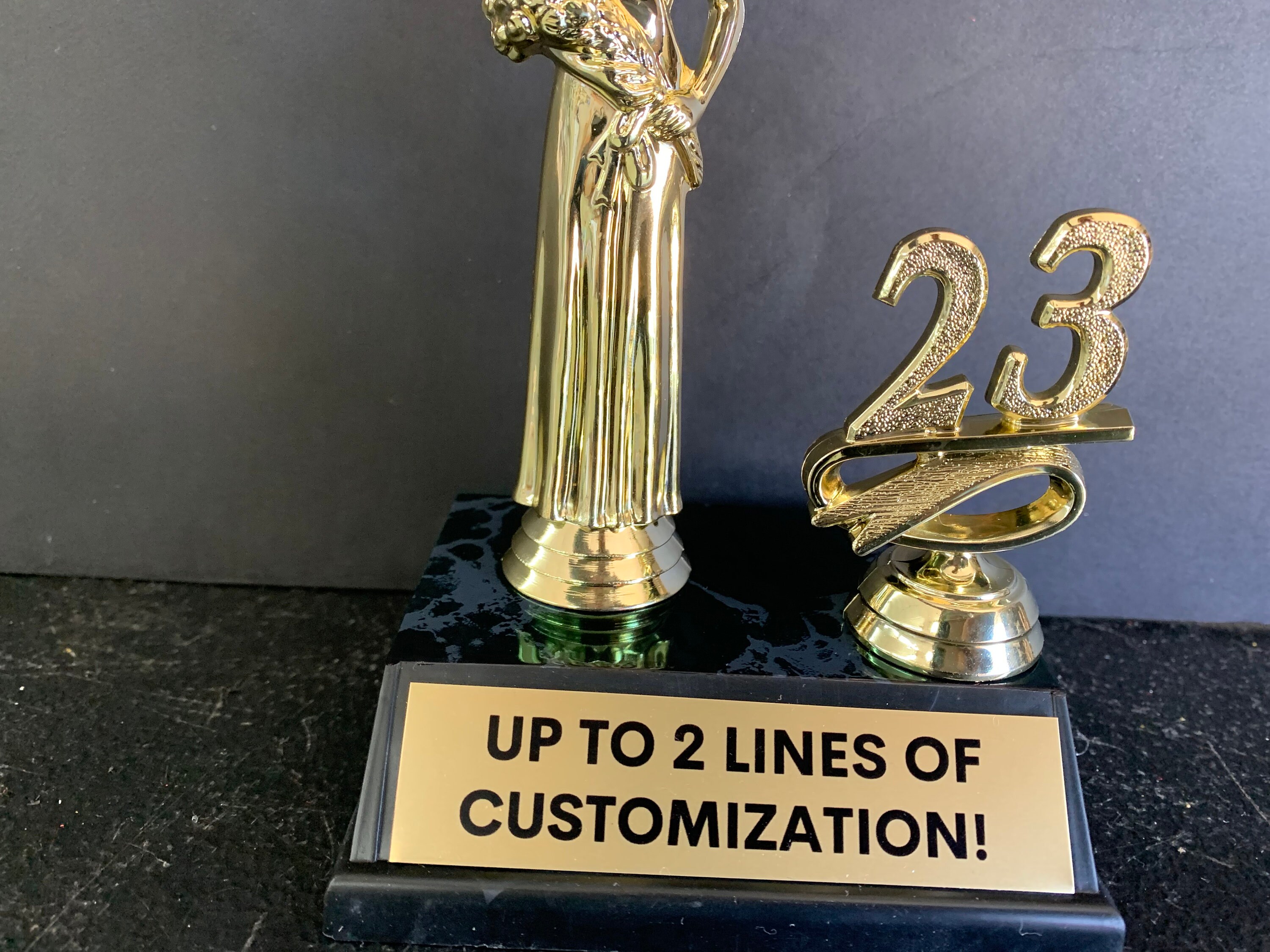 Pageant Queen Princess Trophy, Beauty Queen Award, Custom Pageant ...
