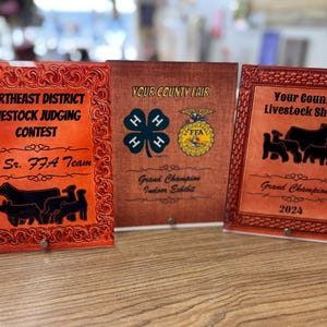 Custom Glass County Fair Awards, Livestock Show Awards, Rodeo Awards, County Fair Award, Stock Show Award