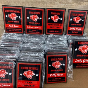 Custom Award Plaques, Sports Plaque, Corporate Award, Team Plaques, Sports Award