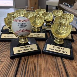 Baseball Glove Holder Trophy, Little League Trophy, Baseball Trophy, Baseball Glove Ball Holder