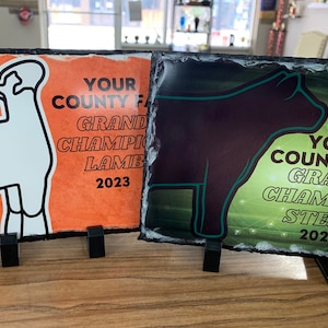 Stone Livestock Award, County Fair Award, Custom Livestock Award
