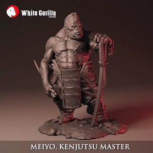 Meiyo, Kenjutsu Master | 3 Stances | 38, 58 & 75 mm Scale  | White Gorilla Games | 3D Printed Miniature / Figure